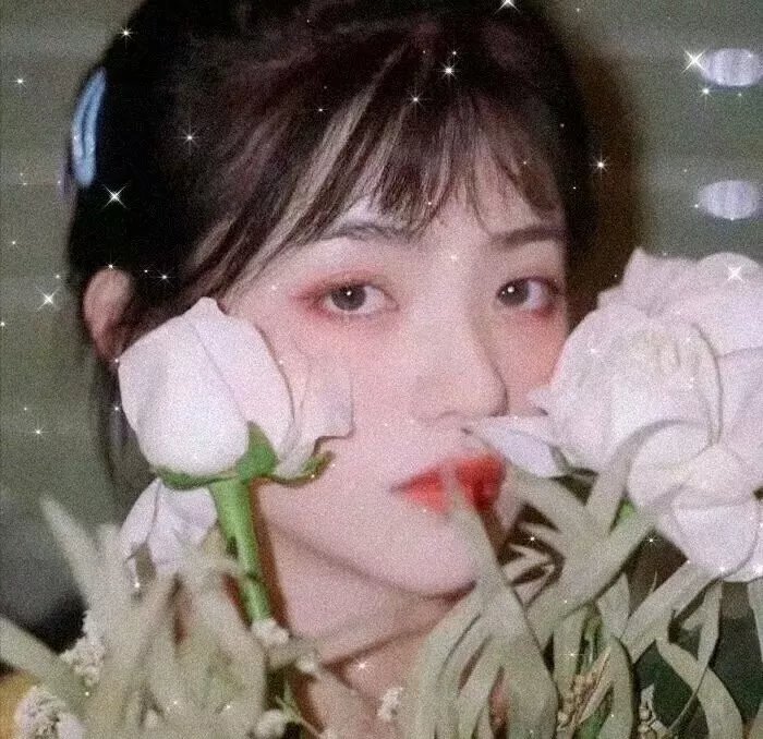 榄不住的爱